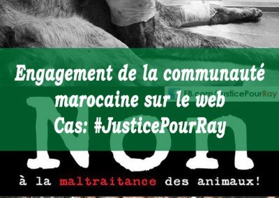 [Analyse Web] Communauté marocaine sur le web – Cas: #JusticePourRay