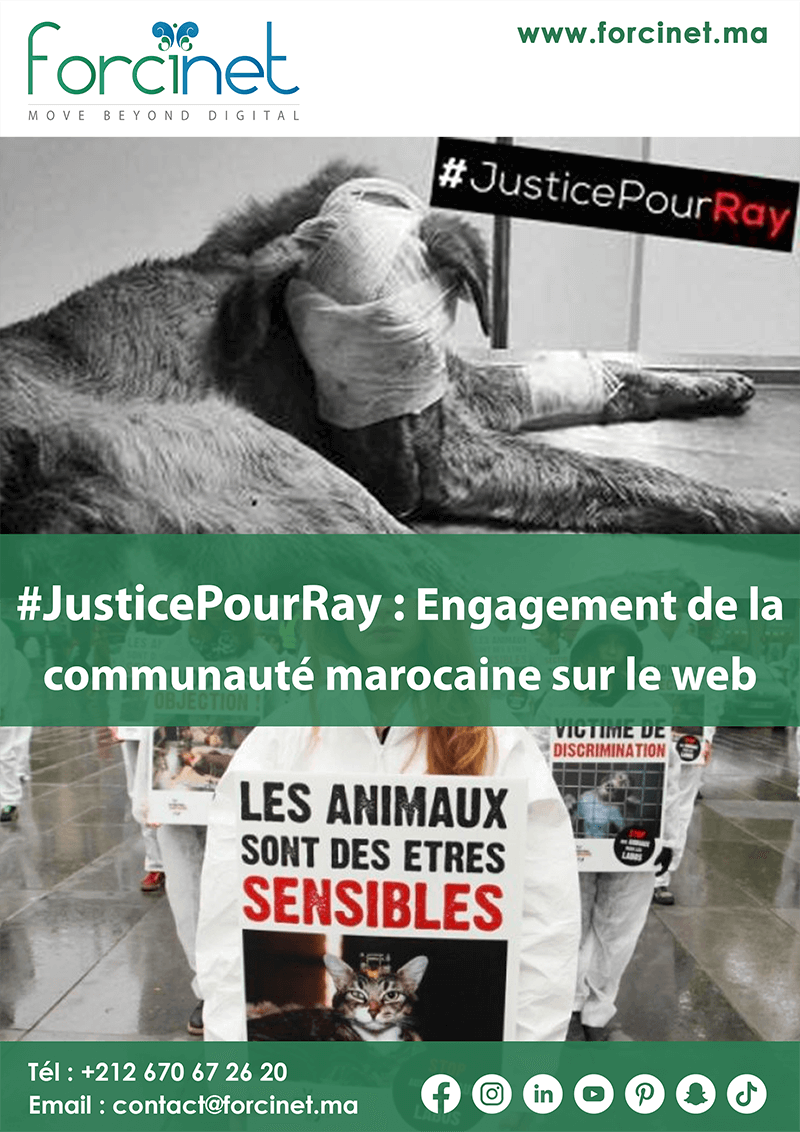 FORCINET - Mobilisation Web JusticePourRay - Analyse Digitale 10Juin2015